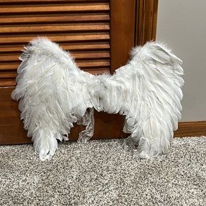 Angel wings costume!